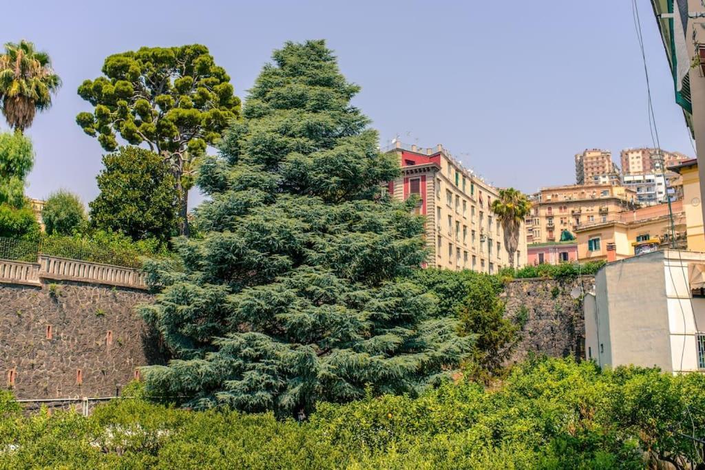 Sofia'S Home Napoli Ngoại thất bức ảnh